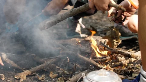Young Campers All Help to Start a Campfire in Forest Stock Footage 125639591