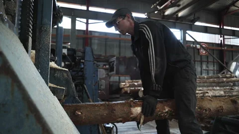 Young Carpenter Milling A Tree Trunk To Sawdust Via A Log Sawing Machine Stock Footage 240652164