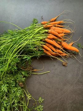 Young carrots Stock Photos
