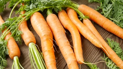 Young carrots on the table. Stock Footage 302472786
