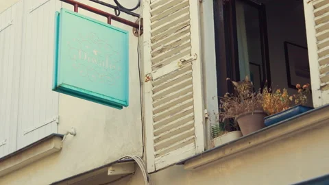 Young cat looking out the window, slow motion Video stock 231755697