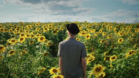 Young caucasian guy in black hat in a sunflower field on a sunny day Stock Footage 163170034