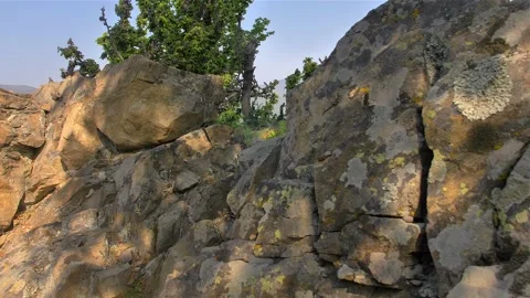 Young caucasian guy going oh a hike adventure. Male model trekking on mountain Stock Footage 135310353