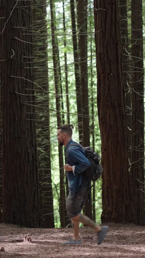 Young Caucasian man strolling in forest among ancient trees enjoying time in Stock Footage 315880675