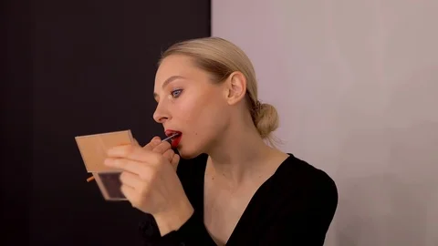 Young caucasian model applying professional makeup. beautiful woman applying Stock Footage 113914816