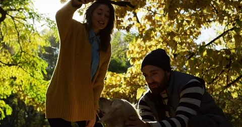 Young cheerful couple playing with a jumping dog and stick. Silhouettes in Stock Footage 82511776