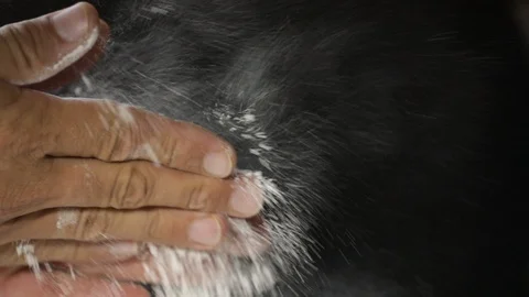 Young chef clapping his hands filled with flour. Slow motion. Stock Footage 127796910