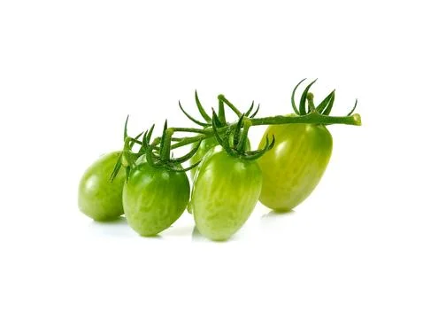 Young cherry tomatoes isolated on white background. Stock Photos