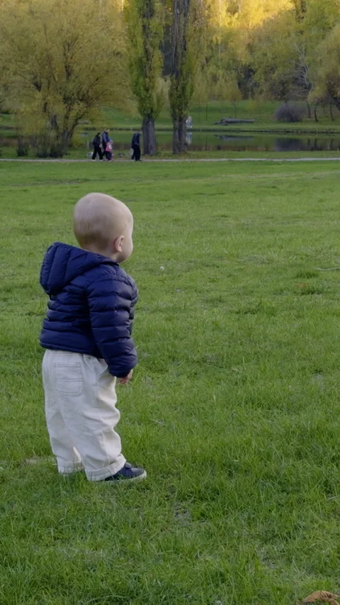 Young child in blue jacket stands on green grass, observing surroundings with Stockbeeldmateriaal 331805858
