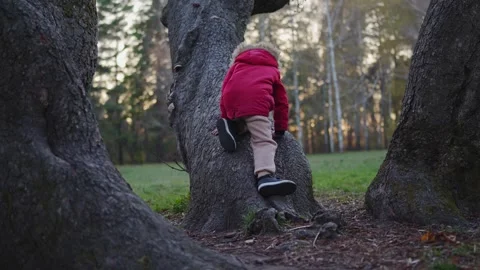 Young child, boy climbing a tree trunk in a park Stock Footage 292918164