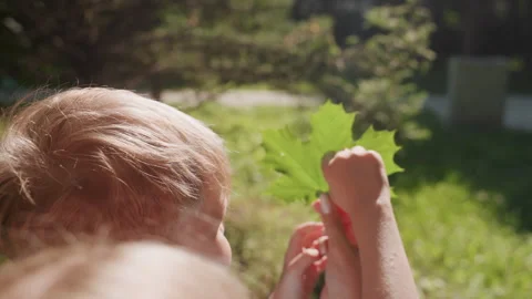 Young child examines leaf in park. Toddler discovering leaf during afternoon Stock Footage 335298961