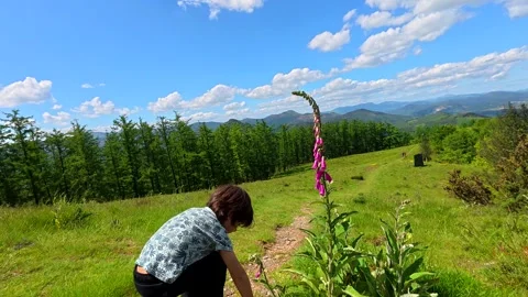 Young child explores mount aldura's beauty in errenteria Stock Footage 308259650