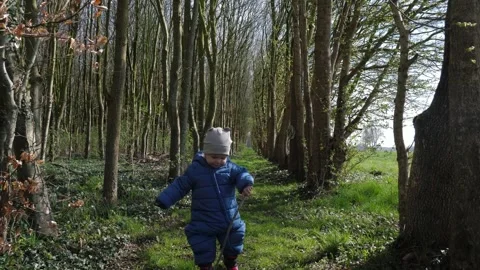 Young child exploring forest path Stock Footage 303499410