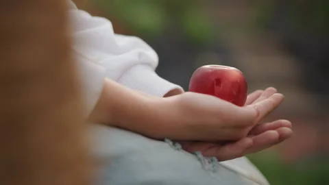 Young child gently grasps red apple. Child with warm clothing softly clutches Stock Footage 346386419