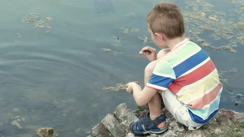 Young child having fun feeding the turtles at the park Stock Footage 135381176
