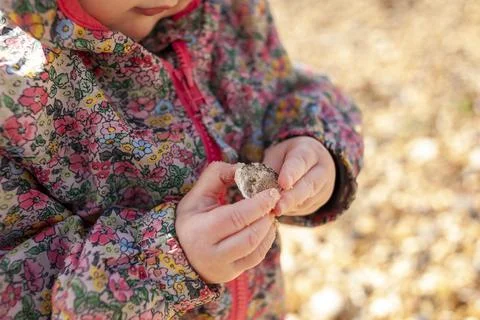 A young child holding a pebble Foto stock