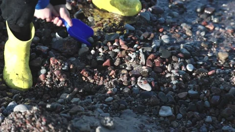 A young child joyfully exploring the beach with a bright blue shovel and Stock-Footage 314711158
