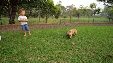 Young child make soap bubbles, for his dog, stand with serious face Stock Footage 310528680