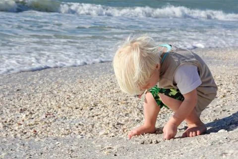 Young child picking up seashells on beach by ocean Stock Photos