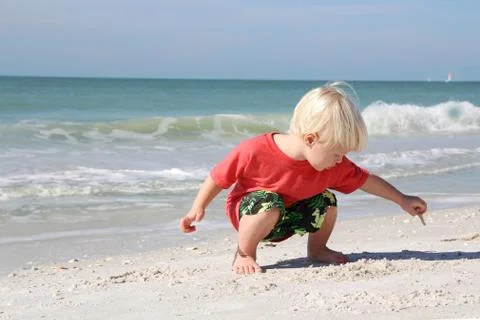 Young child picking up seashells on beach by ocean Stock Photos