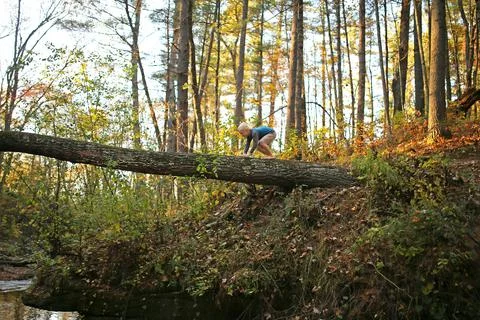 Young Child Playing on Broken Tree High Above River in Woods Stock Photos