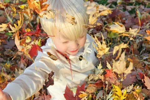 Young child playing outside with fallen autumn leaves Stock Photos