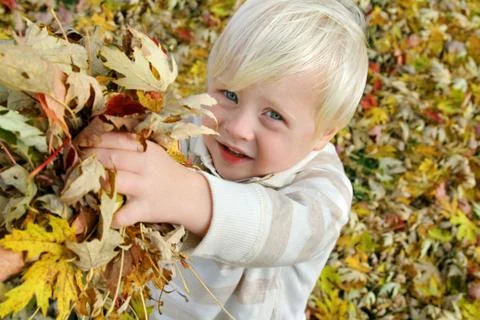 Young child playing outside with fallen leaves in autumn Stock Photos