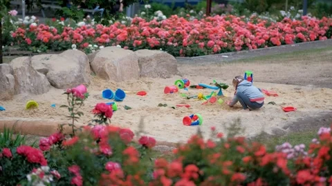 Young child playing with vibrant sand toys in park sandbox near flower bed Vídeo Stock 337404499