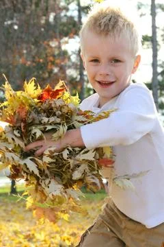 Young child running and throwing fall leaves Stock Photos
