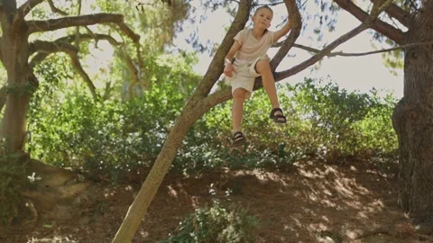 Young child sitting and playing on a tree branch Stock Footage 313057149