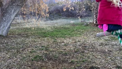 Young child on a tree swing HD Stock Footage 73709652