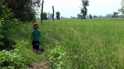 Young child walking in field Stock Footage 23360656