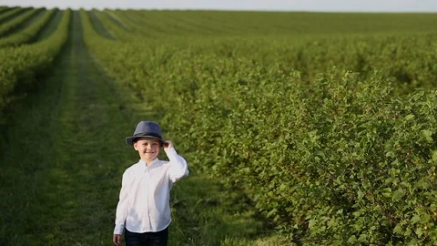 Young children in a field Stock Footage 108303214