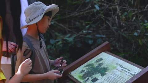 Young Children Using Magnifying Glasses to Read Forest Information Sign Vidéo 325291017