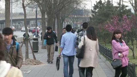 Young Chinese workers walking to work on a spring morning in Beijing, 4K. Stock Footage 84712650