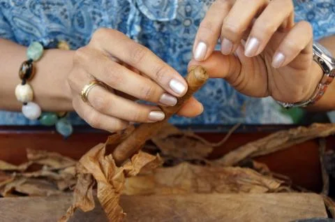 A young cigars turner in the routine work Stock Photos