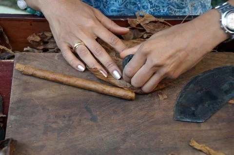 A young cigars turner in the routine work. Stock Photos