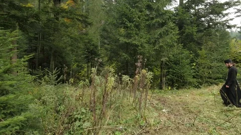 Young Clergy is Walking Through Forest Coniferous Trees Firs and Pines Stock Footage 71635345