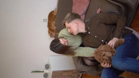 A young cockapoo couple cuddles in the living room Video stock 267841063