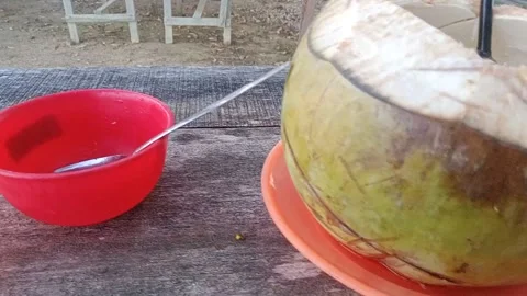 Young coconut Stock Footage 227715494