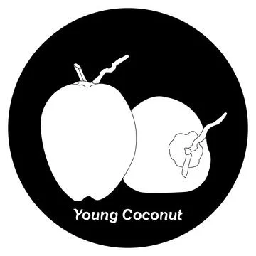 Young coconut icon Stock Illustration