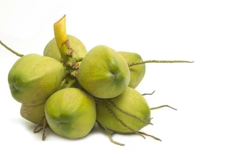 Young coconut Stock Photos