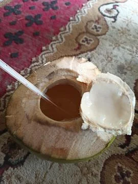 Young coconut Foto stock