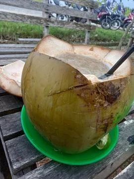 Young coconut 写真素材