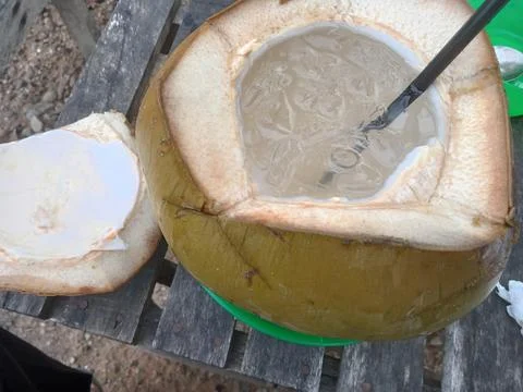 Young coconut 写真素材