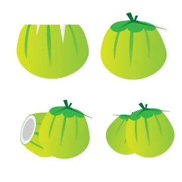 Young coconut set Stock Illustration
