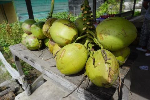 Young coconuts in bunches on display in the shop Stock Photos