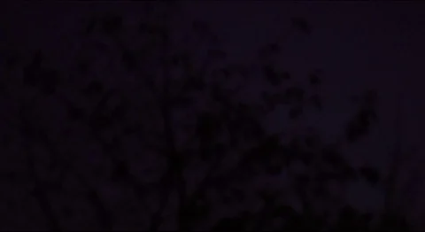 Young cold moon, branches, window Stock-Footage 119283586