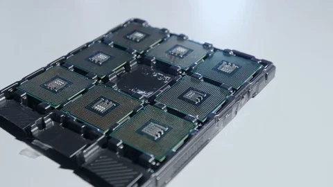 Young Computer Engineer is Holding and Inspecting Processor. Stock Footage 84395527