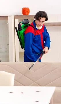 Young contractor doing pest control at home Fotos Stock